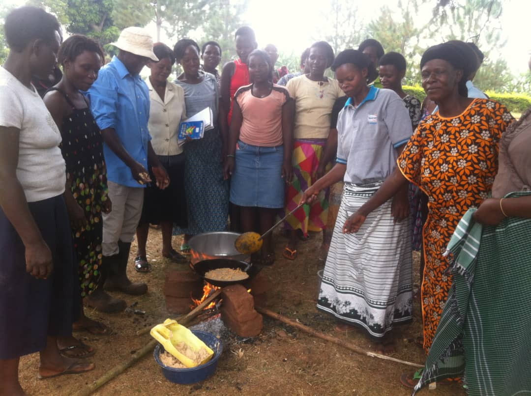 whatsapp image 2025 08 14 at 11.56.18 am.webp