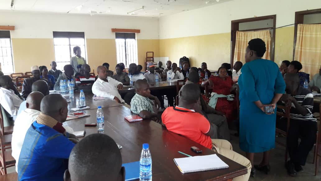 whatsapp image 2025 08 14 at 11.56.20 am 1.webp